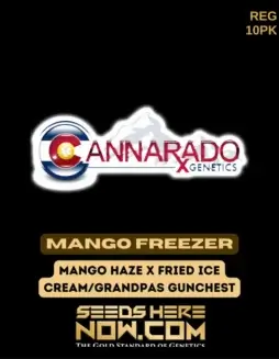 Mango Freezer Regular Seeds (space) Tropical Aroma with High THC