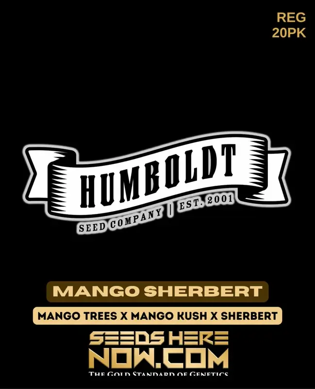 Mango Sherbert regular cannabis seeds by Humboldt Seed Company, featuring tropical mango and sweet sherbet flavors.