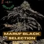 Maruf Black Selection (Regular) - Indian Landrace Exchange