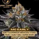 MC Early (Regular) - Best Coast Genetics