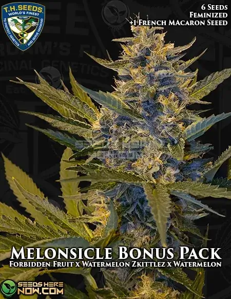 Melonsicle Bonus Pack cannabis seeds by T.H. Seeds featuring Forbidden Fruit and Watermelon Zkittlez lineage