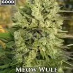 Meow Wulf (Regular) - Weed Should Taste Good