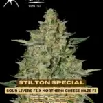 Stilton Special {AUTOFEM} - Mephisto Genetics