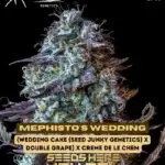 Mephisto's Wedding (Autoflower) - Mephisto Genetics