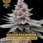 Miami Madness (Feminized) - Solfire Gardens