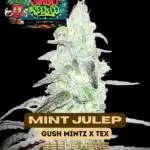Mint Julep (Regular) - Shindig Seed Co.