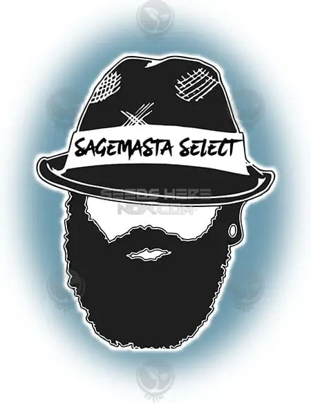 Mix Tape #5 Regular Cannabis Seeds by S.A.G.E.masta Select