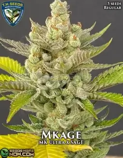 Mkage regular cannabis seeds by T.H. Seeds, featuring MK Ultra and S.A.G.E. lineage