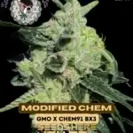 Modified Chem (Regular) - Lucky Dog Seed Company