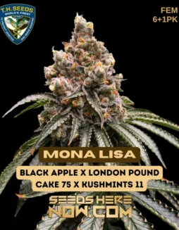 Mona Lisa Bonus Pack feminized cannabis seeds by T.H. Seeds