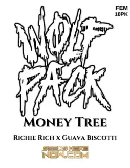 Money Tree Feminized Seeds (space) A Hybrid Strain with Citrus and Pine Aroma