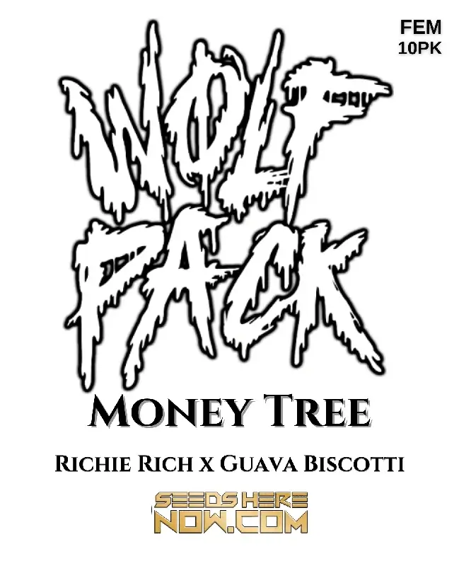 Money Tree Feminized Seeds - A Hybrid Strain with Citrus and Pine Aroma