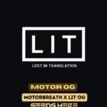 Motor OG (Feminized) - LIT Farms