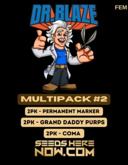 Feminized Multipack #2 Cannabis Seeds by Dr. Blaze featuring high THC and hybrid dominance