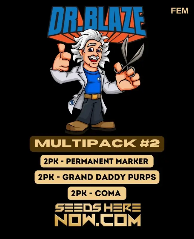 Feminized Multipack #2 Cannabis Seeds by Dr. Blaze featuring high THC and hybrid dominance