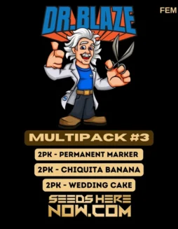 Multipack #3 Feminized Seeds (space) Sativa Dominant Strain with Citrus, Pine, Earthy Aromas