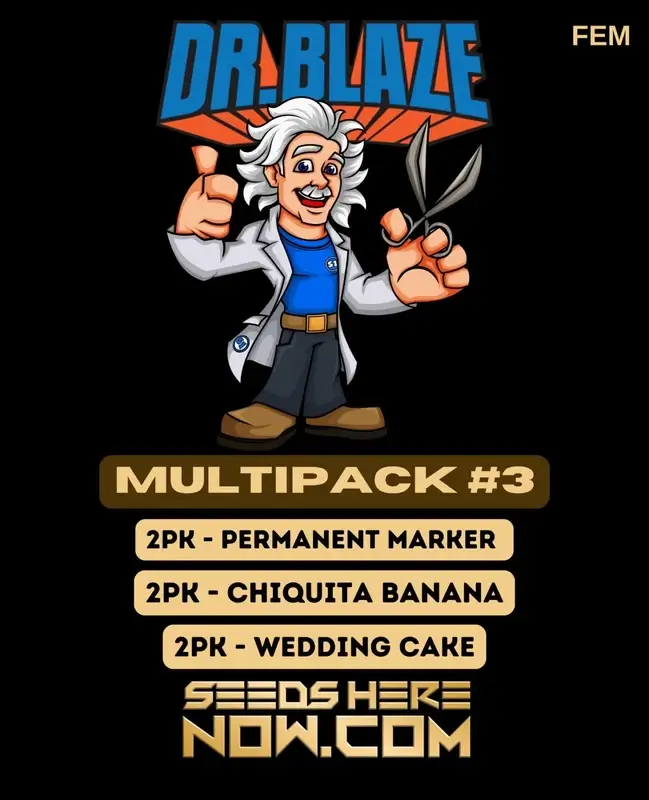 Multipack #3 Feminized Seeds - Sativa Dominant Strain with Citrus, Pine, Earthy Aromas