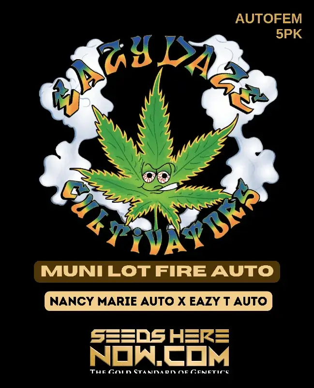 Muni Lot Fire Auto Autoflower Seeds - Hybrid Cannabis by Eazy Daze Cultivators