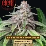 Mystery Made II (Feminized) - Elev8 Seeds