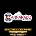 Neutral Flame (Regular) - Cannarado Genetics