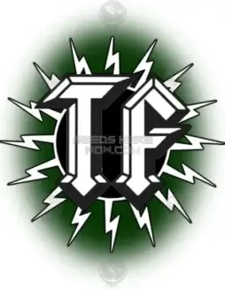 Image of Night Prowler cannabis seeds by Thunderfudge Genetics