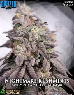 Nightmare Kushmints cannabis seeds by Sin City Seeds, featuring earthy and minty flavors, suitable for both day and night use.