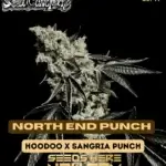 North End Punch (Regular) - Dominion Seed Company