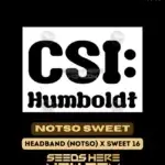 Notso Sweet (Feminized) - CSI Humboldt