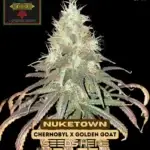 Nuketown (Feminized) - Irie Genetics