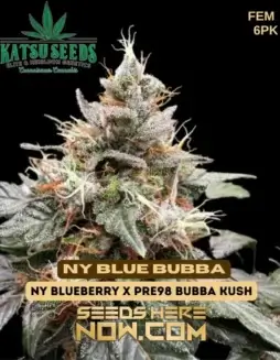 Close(space)up of NY Blue Bubba Feminized Seeds by Katsu Seeds