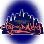 NYC Cookie (Regular) - Top Dawg Seeds