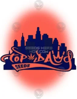 NYC Haze cannabis seeds package by Top Dawg Seeds, featuring sativa(space)dominant strain with citrus and pine aroma