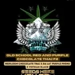 Old School Red and Purple Chocolate Thai F2 (Regular) - Snow High Seeds