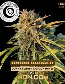 Onion Burger Feminized Seeds by Happy Dreams Genetics featuring savory onion, garlic, and cheesy aromas
