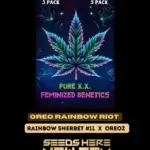 Oreo Rainbow Riot (Feminized) - Pure XX