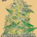 Original AK (Autoflower) - Fast Buds