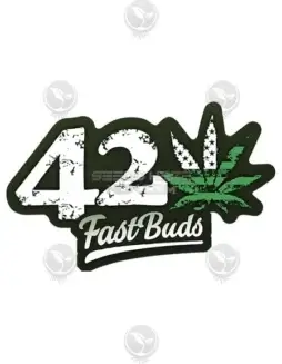 Image of Original Auto Skunk Autoflower Cannabis Seeds by Fast Buds