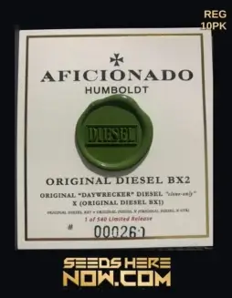 Original Diesel BX2 cannabis seeds by Aficionado Seeds, showing THC levels and flowering time details