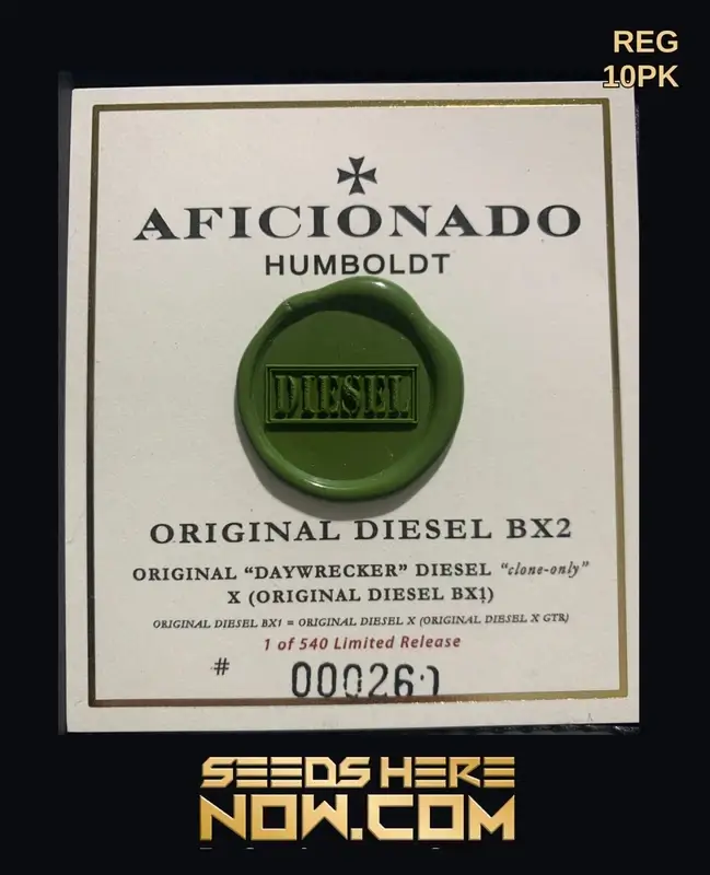 Original Diesel BX2 cannabis seeds by Aficionado Seeds, showing THC levels and flowering time details