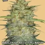 Original OG Kush (Autoflower) - Fast Buds