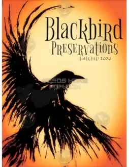 Original Recipe Regular Cannabis Seeds (space) Sativa Dominant Strain by Blackbird Preservations