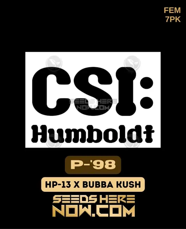 P-98 Feminized Seeds - Indica-dominant strain with pine and citrus aroma