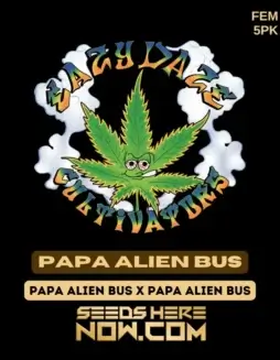 Papa Alien Bus Feminized Seeds (space) Indica(space)Dominant Hybrid with Earthy Gas Aroma
