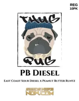 PB Diesel cannabis seeds (space) Hybrid strain by Thug Pug Genetics