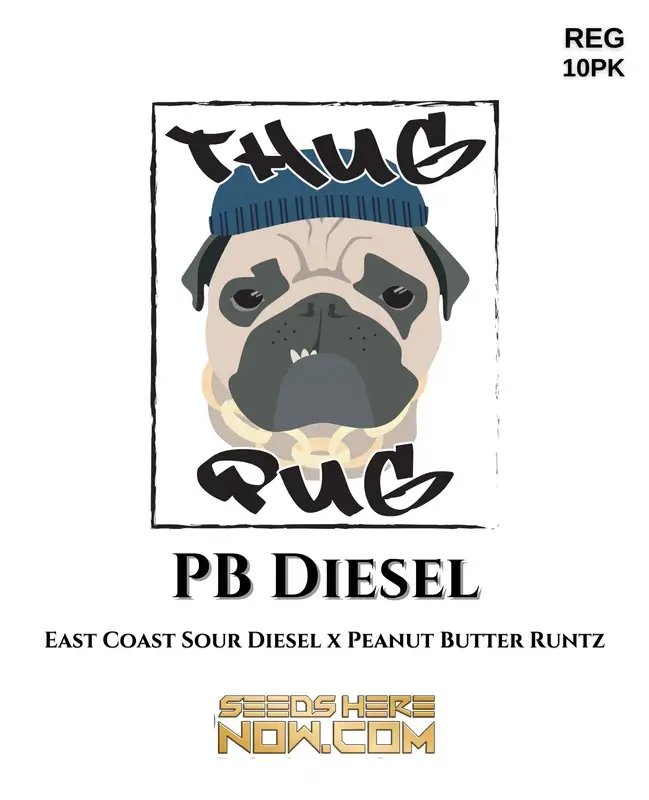 PB Diesel cannabis seeds - Hybrid strain by Thug Pug Genetics