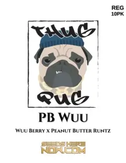 PB Wuu Cannabis Seeds (space) Hybrid Strain by Thug Pug Genetics