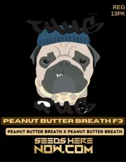 Peanut Butter Breath F3 Cannabis Seeds by Thug Pug Genetics, featuring earthy, nutty aromas and 20(space)25% THC content