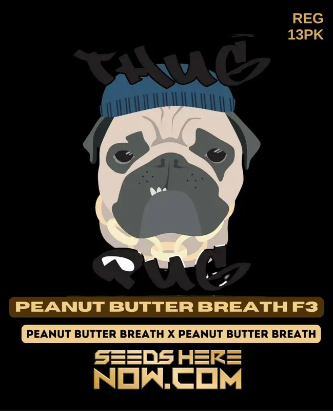 Peanut Butter Breath F3 Cannabis Seeds by Thug Pug Genetics, featuring earthy, nutty aromas and 20-25% THC content