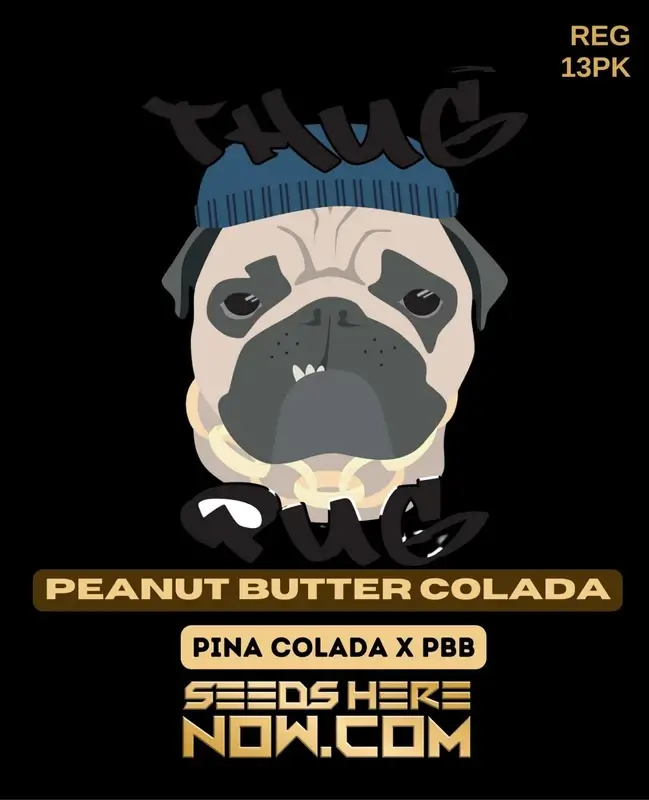Peanut Butter Colada regular cannabis seeds by Thug Pug Genetics, featuring Pina Colada and Peanut Butter Breath genetics