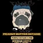 Peanut Butter Octane (Regular) - Thug Pug Genetics
